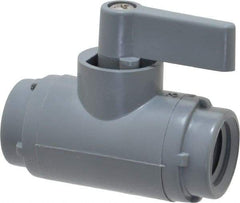Specialty Mfr - 1/4" Pipe, PVC Standard Ball Valve - Inline - Two Way Flow, FNPT x FNPT Ends, Wedge Handle, 125 WOG - Exact Industrial Supply