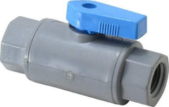 Specialty Mfr - 1/4" Pipe, PVC Standard Ball Valve - Inline - One Way Flow, FNPT x FNPT Ends, Wedge Handle, 125 WOG - Exact Industrial Supply