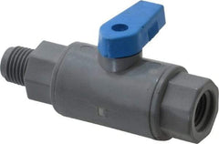 Specialty Mfr - 1/4" Pipe, PVC Standard Ball Valve - Inline - One Way Flow, MNPT x FNPT Ends, Wedge Handle, 125 WOG - Exact Industrial Supply