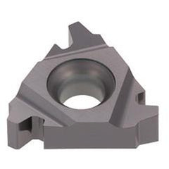 22IR6ACME T313V TUNGTHREAD INS LD G - Exact Industrial Supply