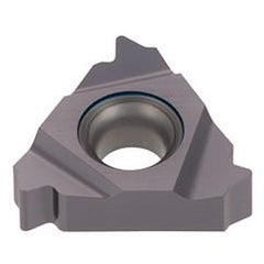 16IR 8RAPI T313V Tungthread Ins - Ld - "G" W/O C/B - Exact Industrial Supply