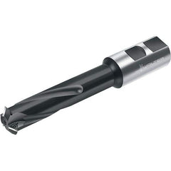 Walter - Indexable Thread Mills Cutting Diameter (mm): 20.00 Cutting Diameter (Decimal Inch): 0.7874 - Exact Industrial Supply