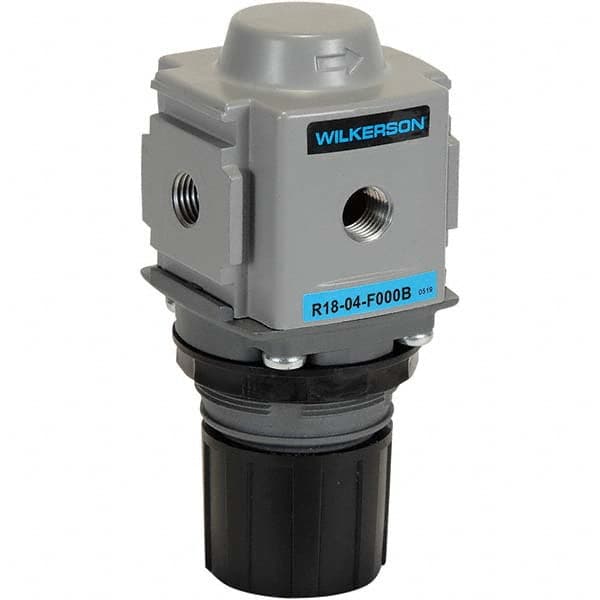 Wilkerson - Regulators Type: Common-P1 Regulator Port Size NPT: 3/8 - Exact Industrial Supply