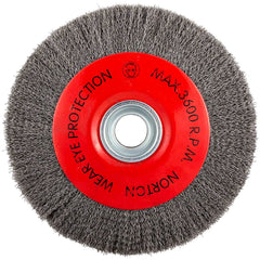 Norton - 10" OD, 3/4" Arbor Hole, Crimped Carbon Wheel Brush - Exact Industrial Supply