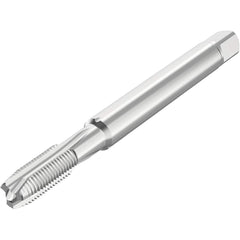 Seco - Spiral Point Taps Thread Size (Inch): 1/4-28 Number of Flutes: 3 - Exact Industrial Supply