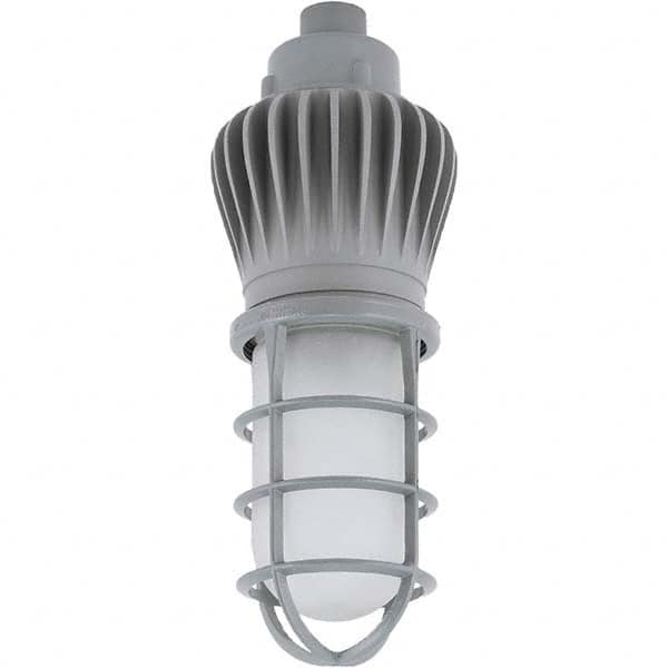 Hubbell Lighting - Hazardous Location Light Fixtures Resistance Features: Vaporproof Recommended Environment: Indoor; Outdoor - Exact Industrial Supply