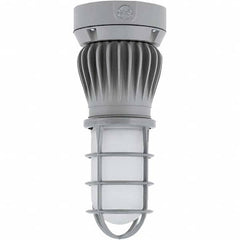 Hubbell Lighting - Hazardous Location Light Fixtures Resistance Features: Vaporproof Recommended Environment: Indoor; Outdoor - Exact Industrial Supply