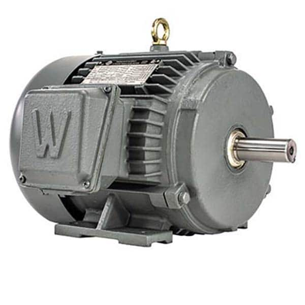 Worldwide Electric - Electric AC/DC Motors Motor Type: Premium Efficient Type of Enclosure: TEFC - Exact Industrial Supply