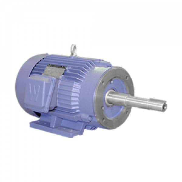 Worldwide Electric - Electric AC/DC Motors Motor Type: Premium Efficient Type of Enclosure: TEFC - Exact Industrial Supply