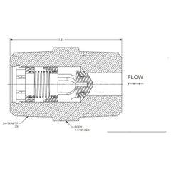 Check Valve: 3/4″ Pipe, Brass Check Valve