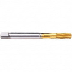 Emuge - 1-8 UNC 2B Modified Bottoming Thread Forming Tap - Exact Industrial Supply