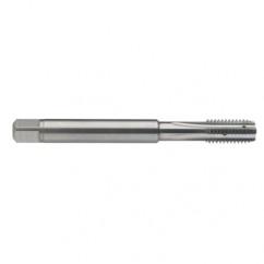 M5 x 0.8 Dia. - 6H - 4 FL - Carbide Semi-Bott Tap - Bright Finish-Coolant-Thru-FORM-C - Exact Industrial Supply