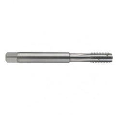 M6 x 1.0 Dia. - 6H - 4 FL - Carbide Semi-Bott Tap - Bright Finish-Coolant-Thru-FORM-C - Exact Industrial Supply