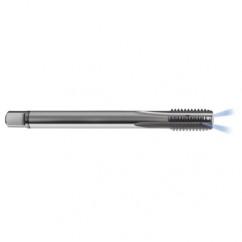 M12 x 1.75 Dia. - 6H - 4 FL - Carbide Semi-Bott Tap - Bright Finish-Coolant-Thru-FORM-C - Exact Industrial Supply