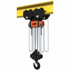 CM - 33,069 Lb Capacity, 20' Lift Height, Manual Chain Hoist - Exact Industrial Supply