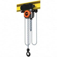 CM - 6,614 Lb Capacity, 20' Lift Height, Manual Chain Hoist - Exact Industrial Supply