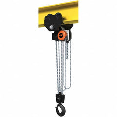 CM - 22,046 Lb Capacity, 10' Lift Height, Manual Chain Hoist - Exact Industrial Supply