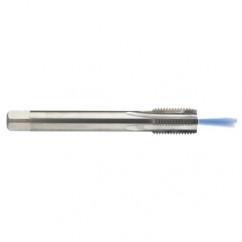 M16 x 2.0 Dia. - 6H - 4 FL - Carbide Semi-Bott Tap - Bright Finish-Coolant-Thru-FORM-C - Exact Industrial Supply