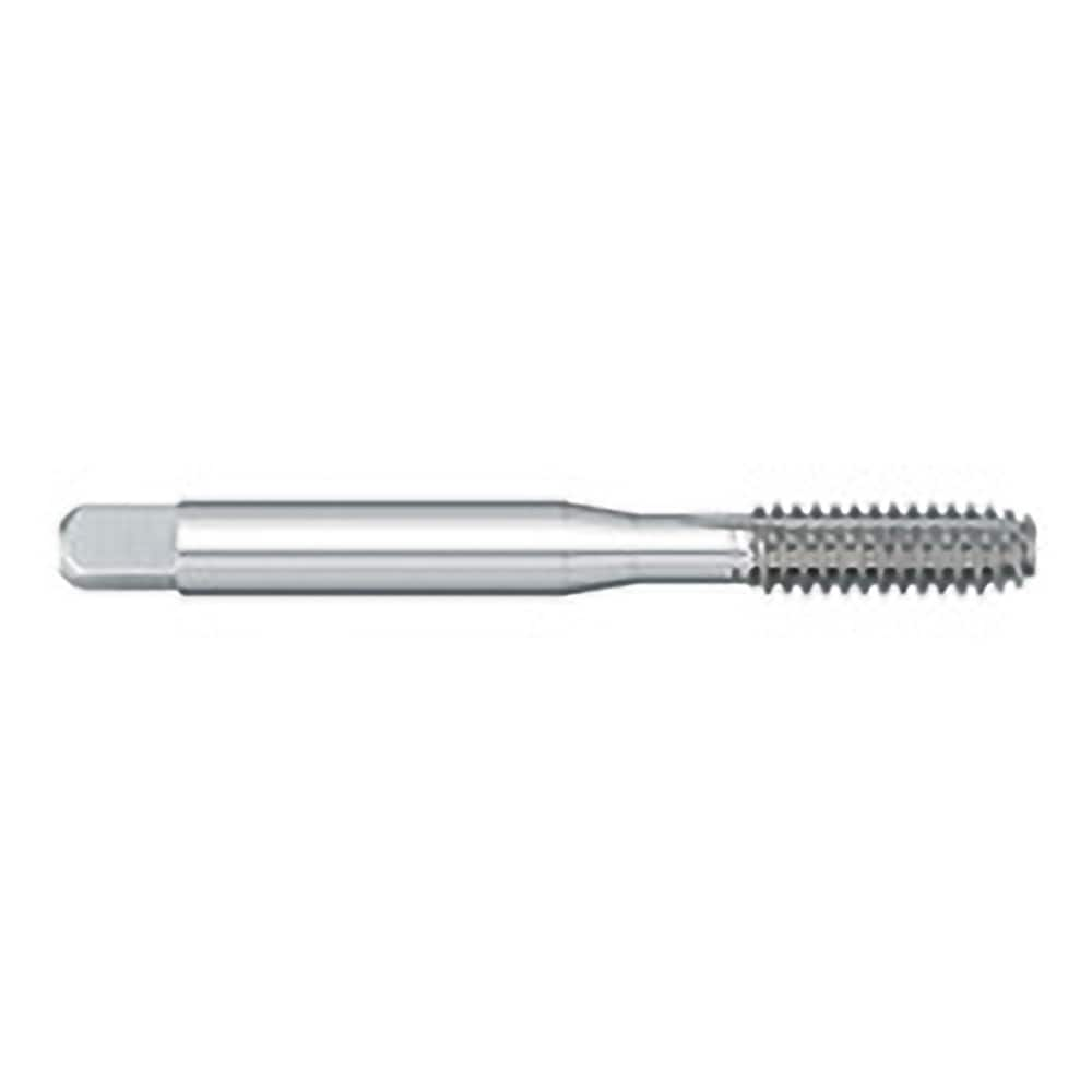 Titan USA - Thread Forming Taps; Thread Size (mm): M5x0.80 ; Class of Fit: 6H ; Thread Limit: D8 ; Chamfer: Bottoming ; Finish/Coating: Uncoated ; Material: High Speed Steel - Exact Industrial Supply