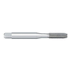 Titan USA - Thread Forming Taps; Thread Size (mm): M5x0.80 ; Class of Fit: 6H ; Thread Limit: D8 ; Chamfer: Bottoming ; Finish/Coating: Uncoated ; Material: High Speed Steel - Exact Industrial Supply