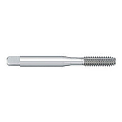 Titan USA - Thread Forming Taps; Thread Size (Inch): #10-32 ; Class of Fit: 2B/3B ; Thread Limit: H5 ; Chamfer: Bottoming ; Finish/Coating: Uncoated ; Material: High Speed Steel - Exact Industrial Supply