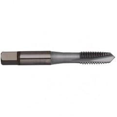 VTSPO5526 M10 X 1.5 D11 3F PLUG - Exact Industrial Supply