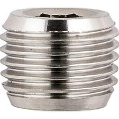 Aignep USA - Stainless Steel Pipe Fittings; Type: Male Plug ; Fitting Size: 1/8 ; End Connections: BSPT ; Material Grade: 316L Stainless Steel ; Pressure Rating (psi): 290