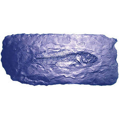 Pre-inked Custom Stamps; Type: Fossil Stamp; Message: None; Color: Blue; Length (Inch): 18; Style: Fish