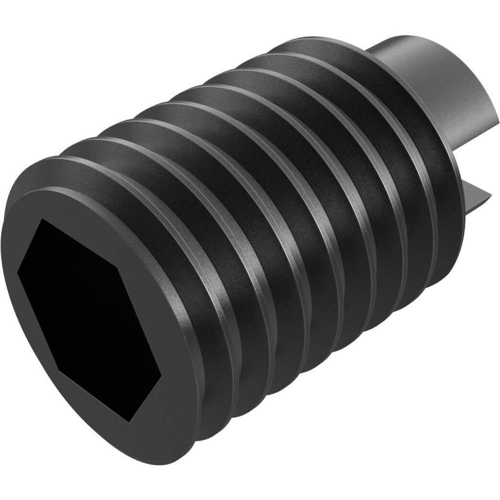 Adjusting Screw for Indexables: Hex Drive, M10 Thread