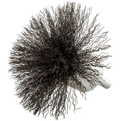 Norton - End Brushes Brush Diameter (Inch): 3 Fill Material: Carbon Steel - Exact Industrial Supply