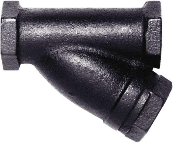 Hoffman Speciality - 1/2" Pipe, Female NPT Ends, Cast Iron Y-Strainer - 250 psi Pressure Rating, 400 psi WOG Rating, 250 psi WSP Rating - Exact Industrial Supply