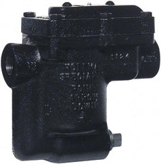 Hoffman Speciality - 2 Port, 1/2" Pipe, Stainless Steel Inverted Bucket Steam Trap - 125 Max psi - Exact Industrial Supply