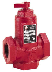 Bell & Gossett - 1" Pipe, Cast Iron Manually Operated Plumbing Valve - Buna Seal, FNPT - Exact Industrial Supply