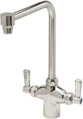 Zurn - Bent Riser, Two Handle, Chrome Plated Single Hole Mount, Laboratory Faucet - Lever Handle - Exact Industrial Supply