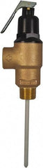 CASH ACME - 3/4" Inlet, 3/4" Outlet, MNPT x MNPT, ASME Safety Relief Valve - 150 Max psi, Bronze, 500000 BTUs - Exact Industrial Supply