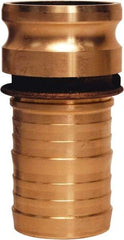 Dixon Valve & Coupling - 2" Brass Cam & Groove Suction & Discharge Hose Male Adapter Hose Shank - Part E, 250 Max psi - Exact Industrial Supply