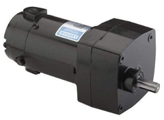 Leeson - 1/15 Max hp, 142 Max RPM, Electric AC DC Motor - 115 V Input, Single Phase, 31 Frame - Exact Industrial Supply