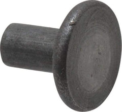 RivetKing - 0.091" Body Diam, Flat Steel Tinners Solid Rivet - 0.166" Length Under Head - Exact Industrial Supply