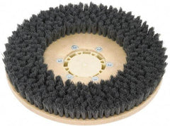 Clarke - 26" Diam Scrubbing Brush - 26" Machine, Black Pad, Polypropylene - Exact Industrial Supply