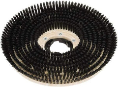 Clarke - 20" Diam Scrubbing Brush - 20" Machine, Black Pad, Polypropylene - Exact Industrial Supply