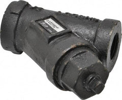 Legend Valve - 1/2" Pipe, FNPT Ends, Cast Iron Y-Strainer - 500 psi WOG Rating, 250 psi WSP Rating - Exact Industrial Supply