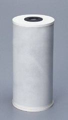 Pentair - 4-1/2" OD, 25µ, Granular Activated Carbon Radial Flow Cartridge Filter - 9-3/4" Long, Reduces Tastes, Odors & Sediments - Exact Industrial Supply