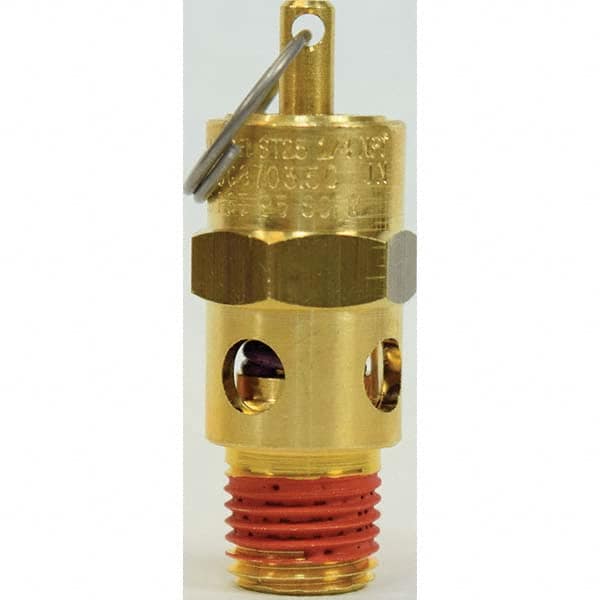 Control Devices - 1/4" Inlet, ASME Safety Valve - Exact Industrial Supply