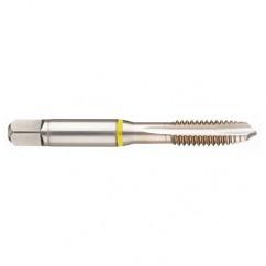 M18x2.5 6H 4-Flute Cobalt Yellow Ring Spiral Point Plug Tap-Bright - Exact Industrial Supply