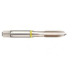40671 2B 3-Flute Cobalt Yellow Ring Spiral Point Plug Tap-Bright - Exact Industrial Supply