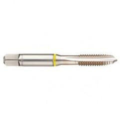 42433 2B 4-Flute Cobalt Yellow Ring Spiral Point Plug Tap-Bright - Exact Industrial Supply