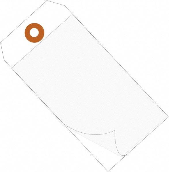 Made in USA - 6-1/4" High x 3-1/8" Long, Safety & Facility Blank Tag - White Vinyl - Exact Industrial Supply