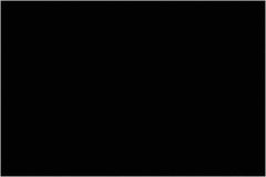 Tape Logic - 6" Long, Black Paper Inventory Labels - For Multi-Use - Exact Industrial Supply