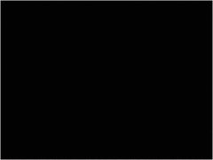Tape Logic - 4" Long, Black Paper Inventory Labels - For Multi-Use - Exact Industrial Supply