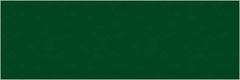 Tape Logic - 9" Long, Green Paper Inventory Labels - For Multi-Use - Exact Industrial Supply